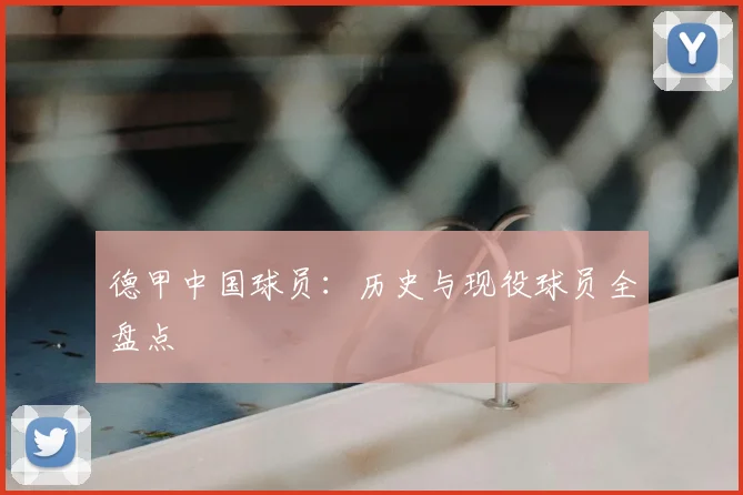 德甲中国球员:历史与现役球员全盘点