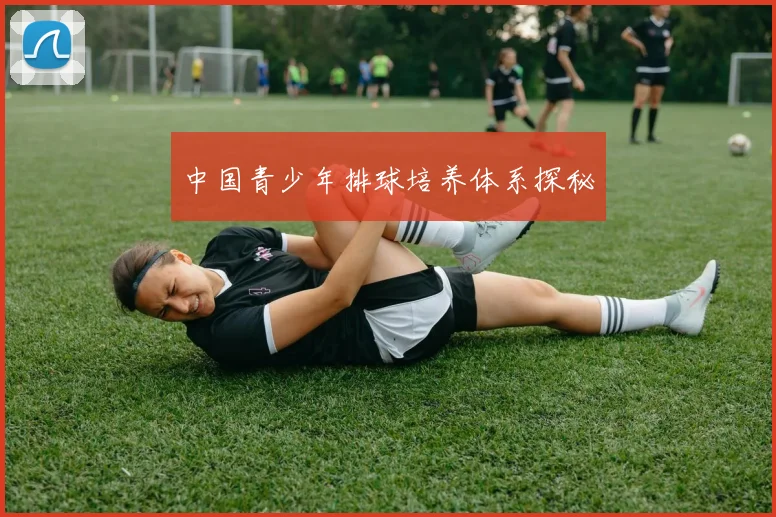 中国青少年排球培养体系探秘