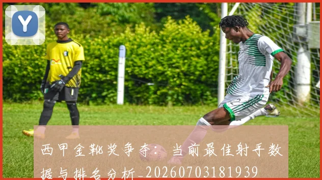 西甲金靴奖争夺：当前最佳射手数据与排名分析_20260703181939
