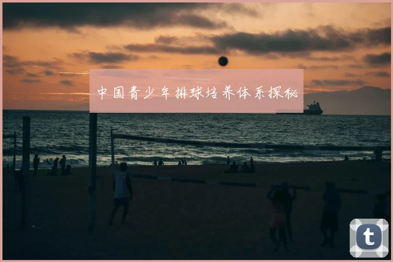 中国青少年排球培养体系探秘